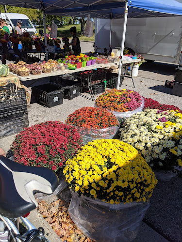 Comentarii opinii despre South Shore Farmers Market