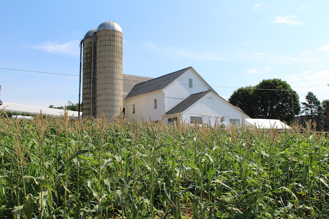 Sunset Acres Produce - Hospitality and gastronomy