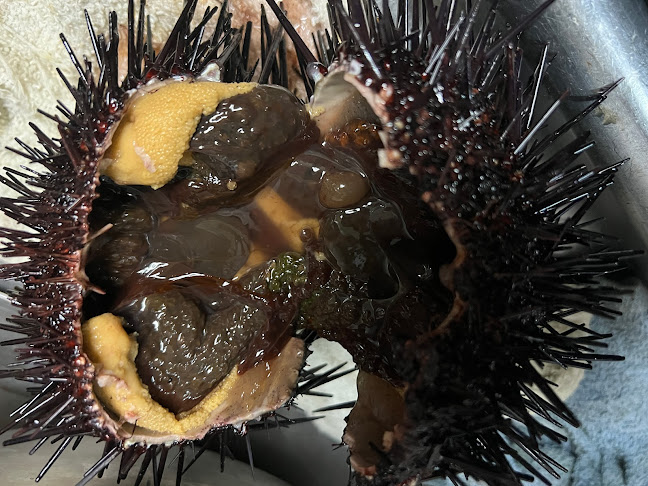 1134 Chapala St, Santa Barbara, CA 93101, United States