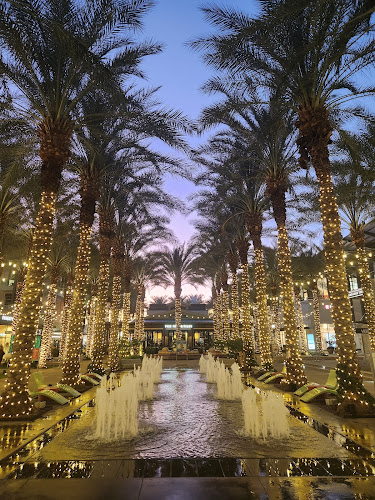 True Food Kitchen - Hospitality and gastronomy