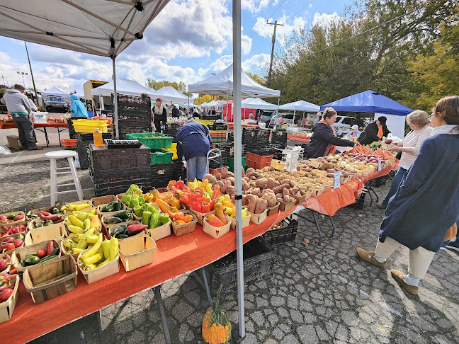 Opinii despre Northville Farmers Market în Northville - Hospitality and gastronomy
