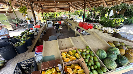 Pine Island Tropical Fruit Market