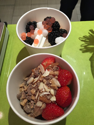 Froyola Premium Frozen Yogurt - Hospitality and gastronomy