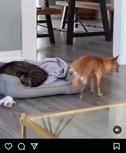 Hannah Banana’s - Hospitality and gastronomy