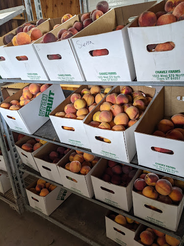 Kuwahara Farms - Hospitality and gastronomy