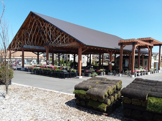 Sanfelippo's City Center Market