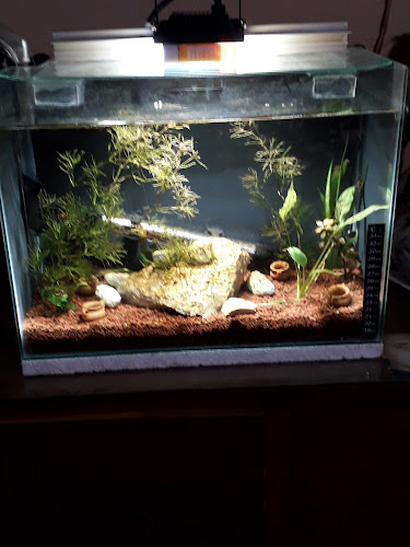 13548 Woodward Ave, Highland Park, MI 48203, United States