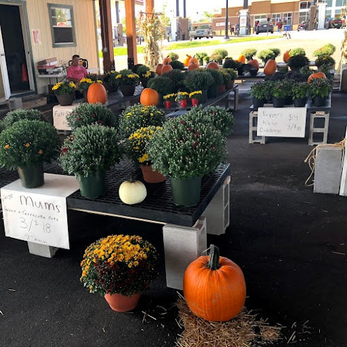 Sanfelippo's City Center Market - Hospitality and gastronomy