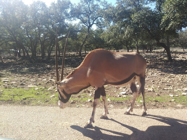 26515 Natural Bridge Caverns Rd, San Antonio, TX 78266, United States