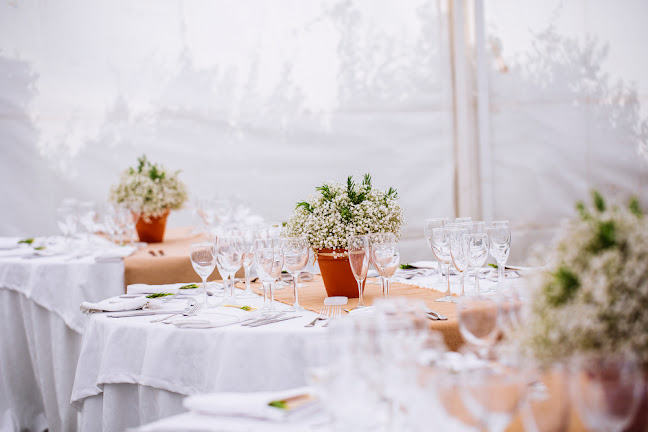 Comentarii opinii despre BALABUSTA