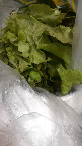 Opinii despre Farm 2 Table Project în Conway - Hospitality and gastronomy