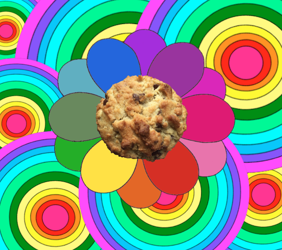 big fat cookie - San Diego