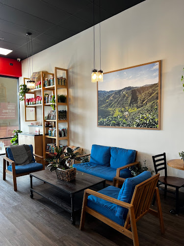 352 Moore Rd, Ocoee, FL 34761