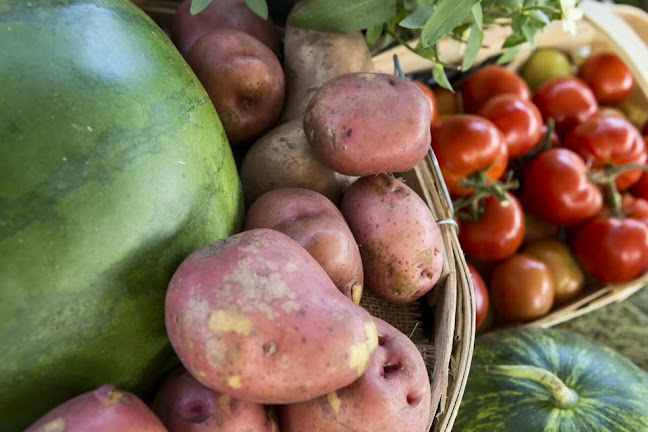 Reviews of Don Carmichael Produce in Tulsa - Hospitality and gastronomy