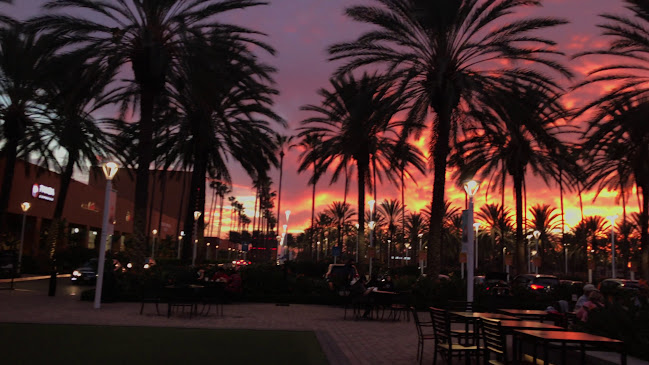 Yogurtland The Market Place - Hospitality and gastronomy