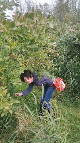 Opinii despre Schmidts Blueberry Farm în Marysville - Hospitality and gastronomy