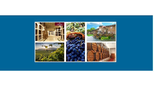 Opinii despre Deluxe MD Inc în Rancho Cordova - Hospitality and gastronomy