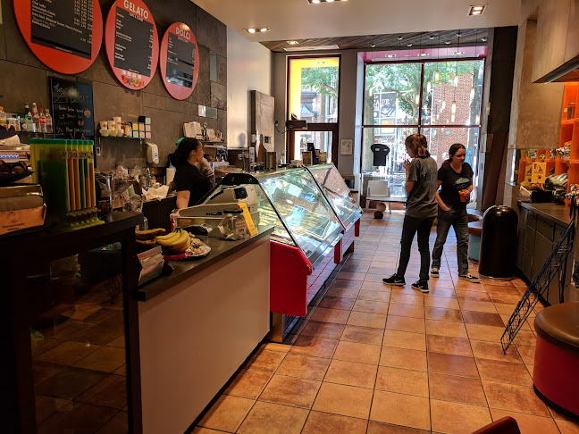 Splendora's Gelato - Hospitality and gastronomy