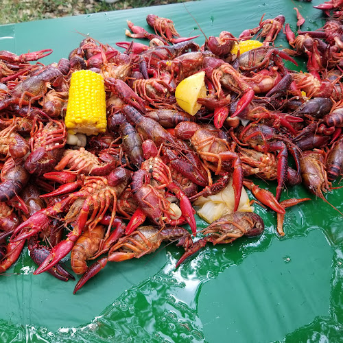 Comentarii opinii despre HooDoo Crawfish Catering