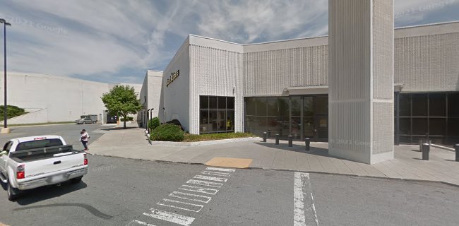 Rookies - Hospitality and gastronomy