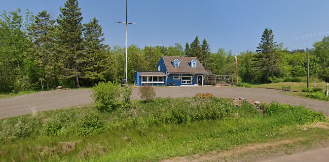 Dream Cloud Coffee Roasters