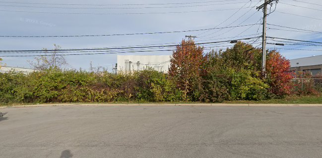 American Fruit & Vegetable Company